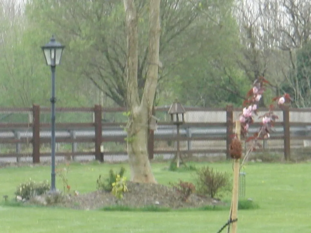 Woodlands House Bed and Breakfast Farranfore Bed & Breakfast